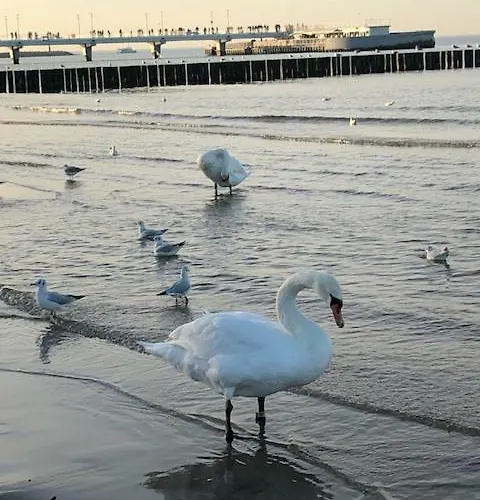 Blizej Morza Premium Iii